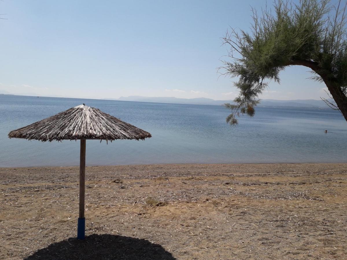 Poseidon Hotel Calcide Esterno foto